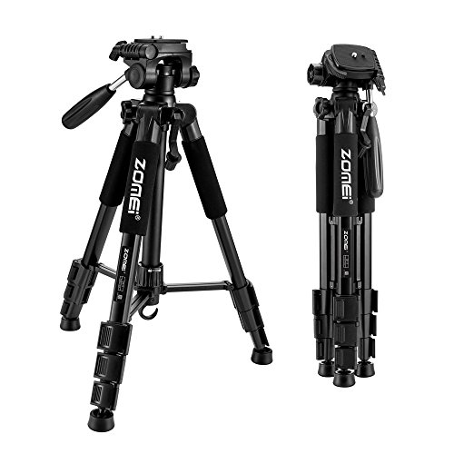 ZOMEI 55" Compact Light Weight Travel Portable Folding SLR Camera Tripod for Canon Nikon Sony DSLR Camera Video with Carry Case(black)