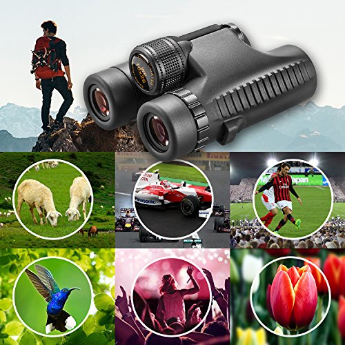 Binoculars Compact Lightweight Mini for Adults Kids 10x26 Folding Binoculars Telescope Waterproof Fogproof for Bird Watching Hunting Camping Hiking Travel Sports Concerts with Strap and Carry Case